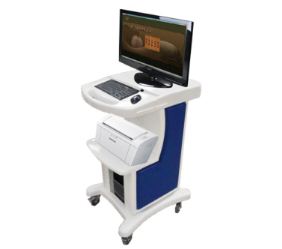 ���t(y��)�w�|�W�đ���